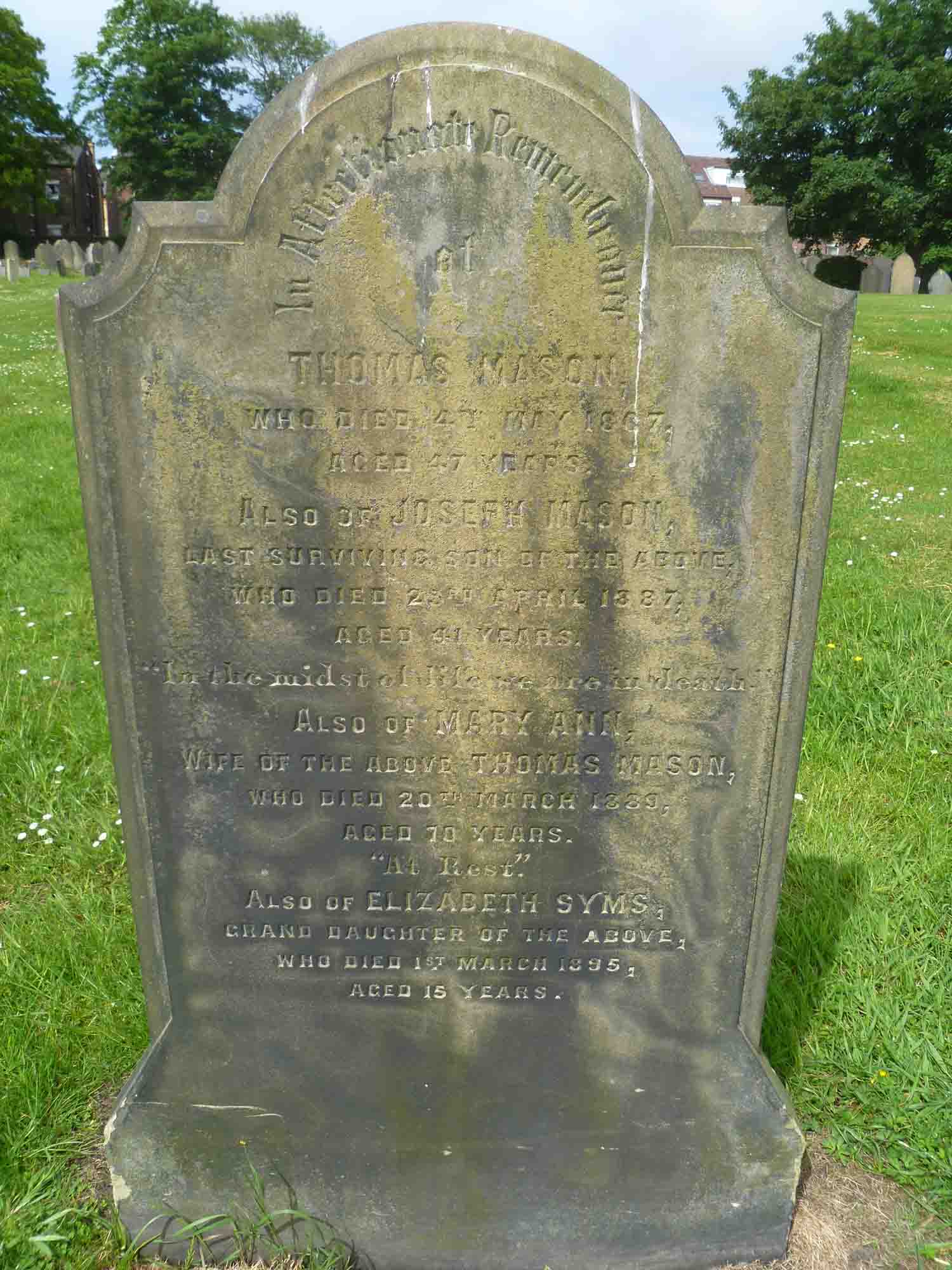 Mason & Syms (4 742)